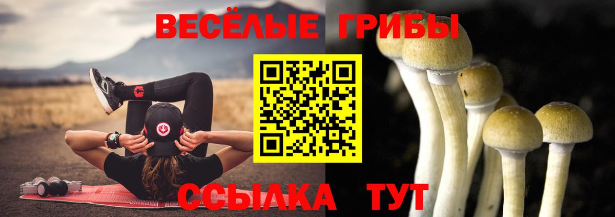 хочу   Псилоцибиновые грибы Psilocybine cubensis  Вход с VPN  Удомля 